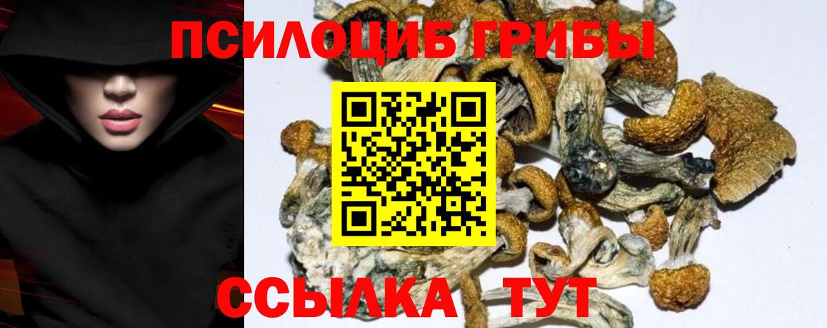 Отрадный  Псилоцибиновые грибы GOLDEN TEACHER  Вход с VPN 